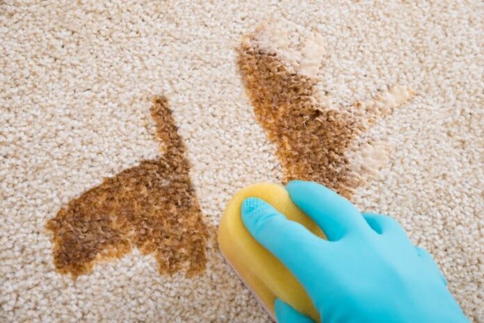 Stain Removal Services in Suffolk