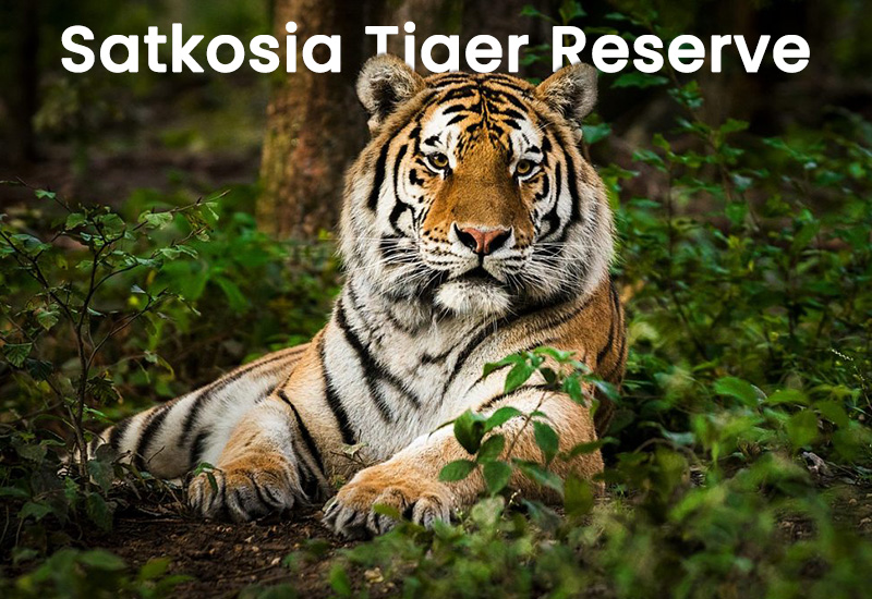 Satkosia-Tiger-Reserve-wonder-of-odisha
